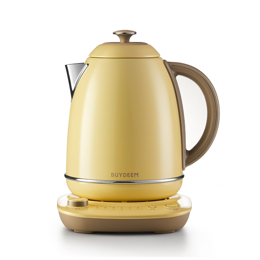 BUYDEEM K740 Stainless Steel Kettle with Temperature Control